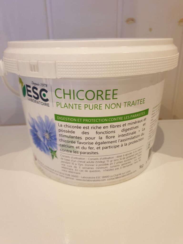 ESC Chicorée
